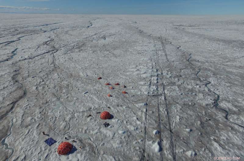 Mineral Dust‑Fueled Microbes Accelerate Greenland Ice Sheet Melting