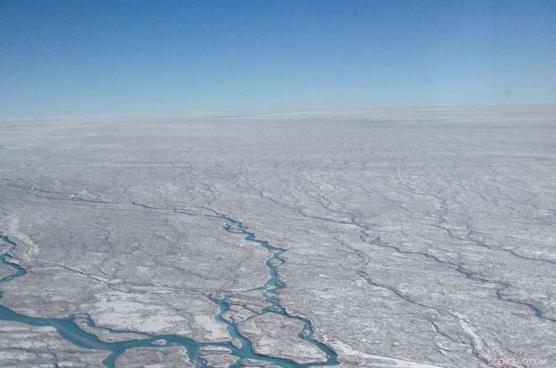 Mineral Dust‑Fueled Microbes Accelerate Greenland Ice Sheet Melting