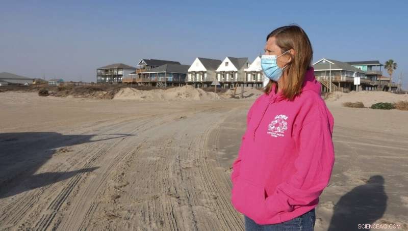 Texas Coast Rebuilds Storm-Damaged Dunes Using Christmas Trees