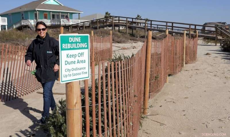 Texas Coast Rebuilds Storm-Damaged Dunes Using Christmas Trees