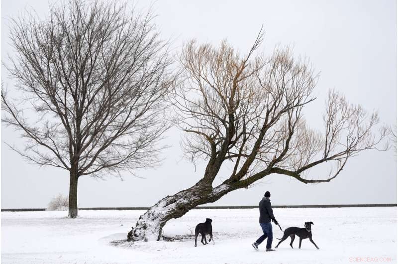 Massive Winter Storm Blankets Midwest, Disrupts Travel – Updated Coverage