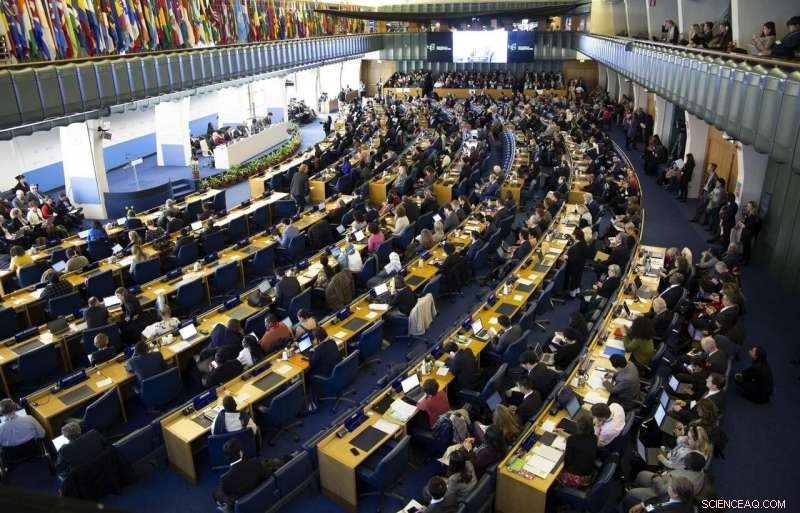 Scientists Recommend Crucial Revisions to Global Biodiversity Policy