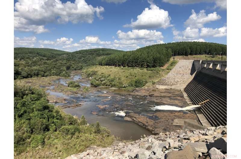 Small Dams in Brazil Pose Greater Fish Disruption Than Large Hydropower Projects