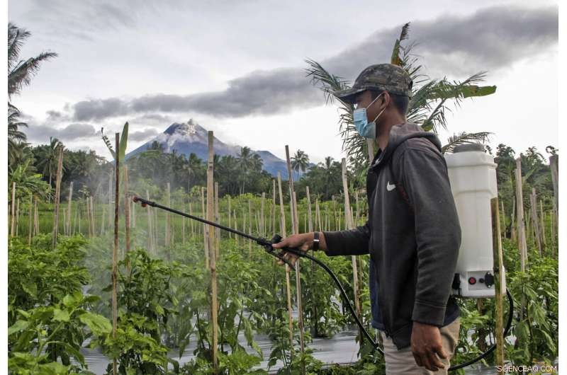 Mount Merapi Erupts: River of Lava Floods Indonesia s Slopes