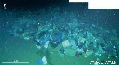 Turbidity Currents Accumulate Deep‑Sea Plastic in Northwest South China Sea