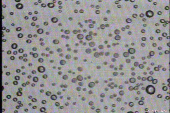 Arctic Expedition Enhances Climate Modeling Accuracy