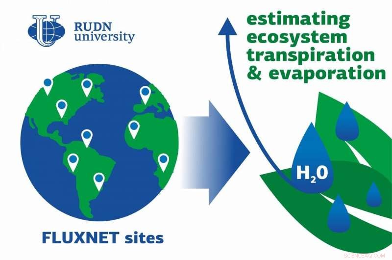 Global Study Uncovers New Patterns in Vegetation Transpiration Across 251 Sites