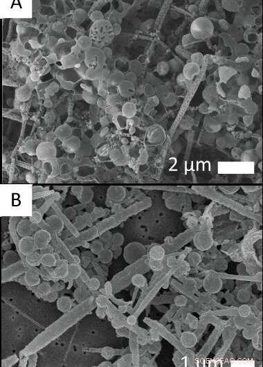 Early Life Records May Be Full of False Positives, New Experiments Reveal