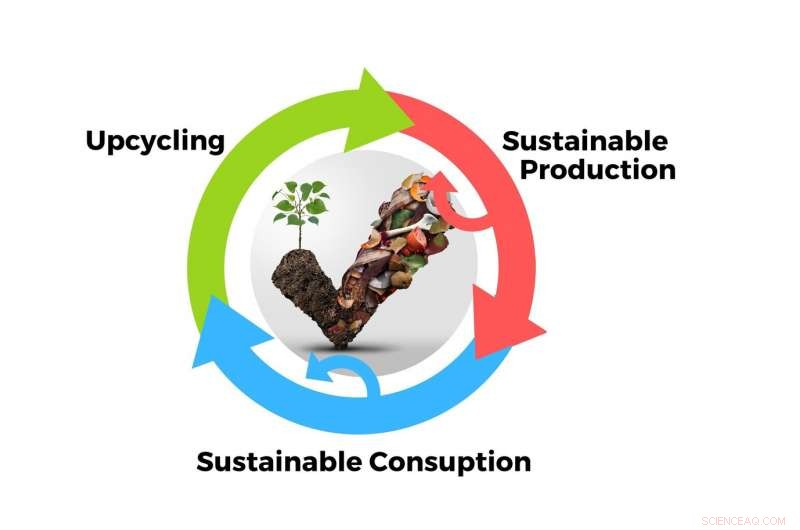 From Food Waste to Nourishment: A Sustainable Solution
