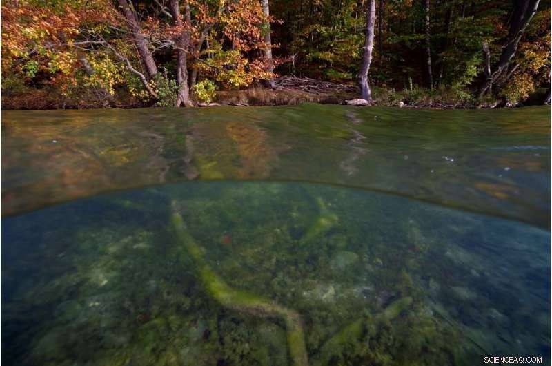 Acid Rain Declining, but Sulfate Levels in Freshwater Remain Alarming