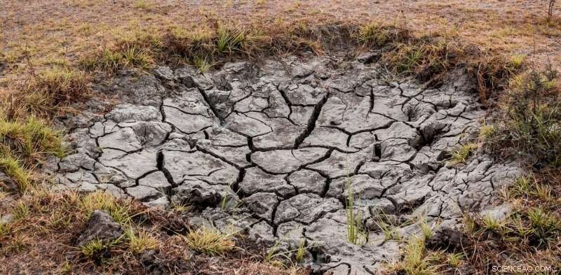 5 Cutting-Edge Technologies to Capture Water in Dry Areas