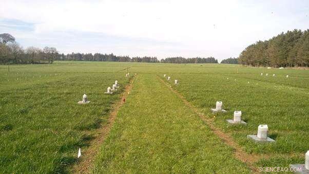 How Raising Soil pH Lowers Fertilizer‑Derived Nitrous Oxide Emissions