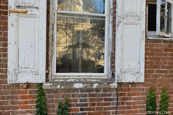 Urgent Call for a Global Ban on Lead Paint: Protecting Public Health