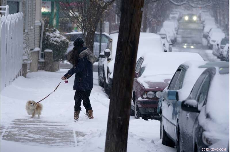 Two‑Day Storm Devastates Northeast with Heavy Snow