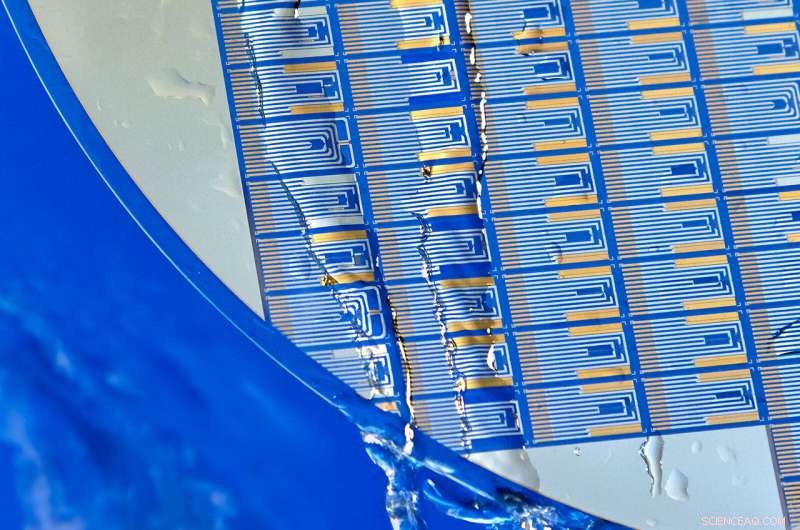 Ozone‑Powered Water Disinfection: Safe, Efficient, and Chlorine‑Free