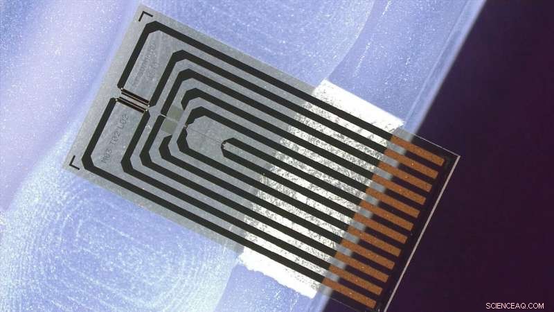 Ozone‑Powered Water Disinfection: Safe, Efficient, and Chlorine‑Free