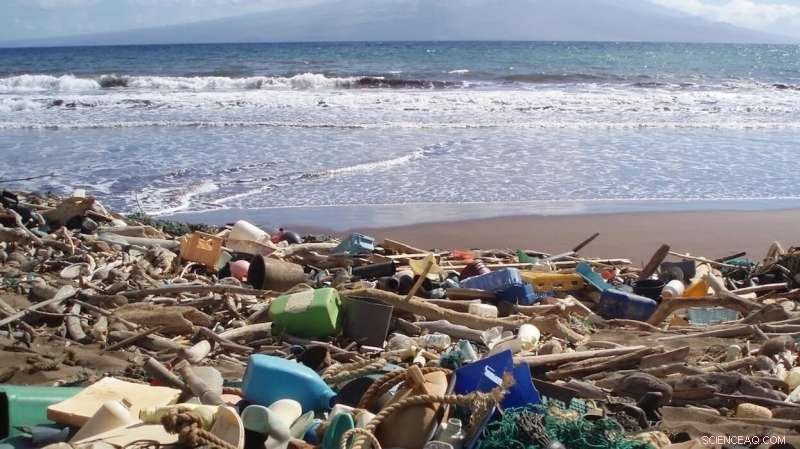 Is Ocean Plastic Pollution Rising? Findings from Prof. Alan Deidun’s Study