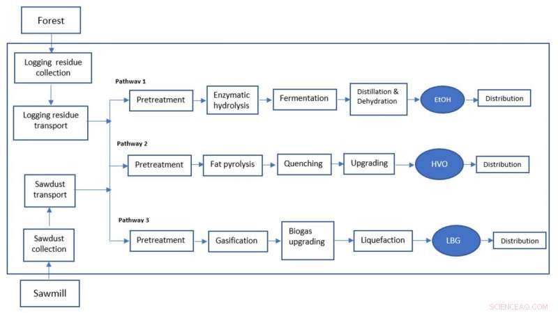 Forest Residues Cut Heavy Transport Emissions by 90%—New Biofuel Study