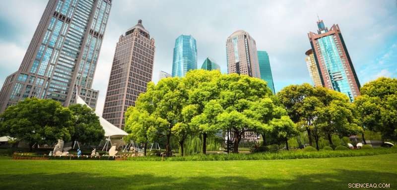 Harnessing Nature-Based Solutions: A Clear Path to Climate Resilience