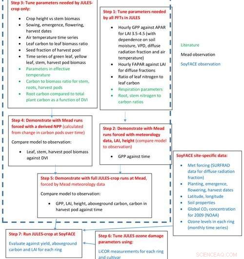 Advanced Model Enhances Accuracy of Ozone Impact Predictions on Soybean Yields
