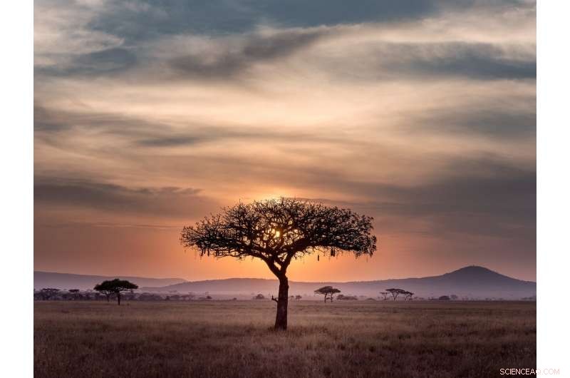 South Africa Faces Economic Losses: Rising Temperatures Could Cut Up to 20% of Per Capita GDP