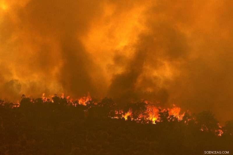 Perth Grapples with Devastating Bushfire Amid Ongoing COVID Lockdown
