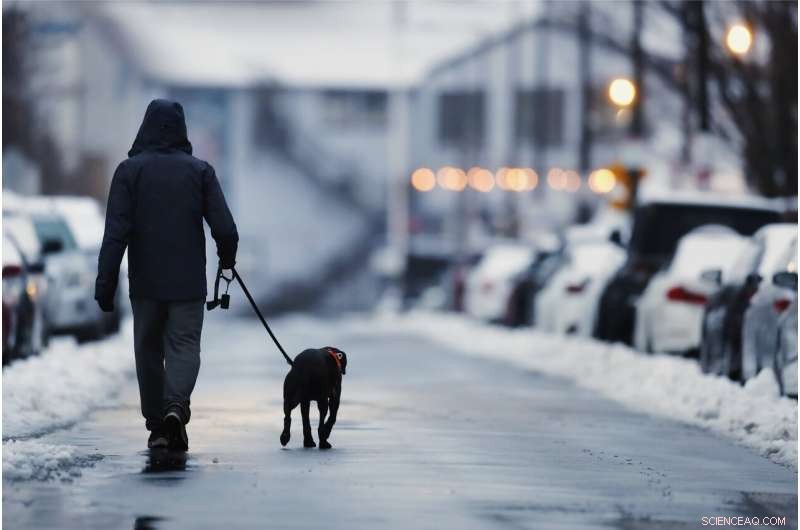 Northeastern U.S. Begins Recovery After Record-Setting Snowstorm