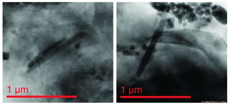 Ancient Magnetic Fossils Reveal Climate History