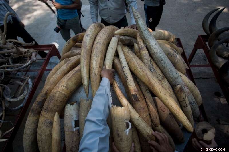 Economic Growth Tolls Nature: Comprehensive Review Highlights Devastating Environmental Impact