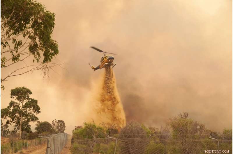 Western Australia Wildfire Devastates Homes as Dry Winds Intensify