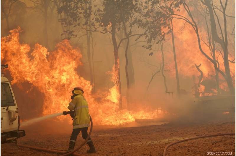 Western Australia Wildfire Devastates Homes as Dry Winds Intensify