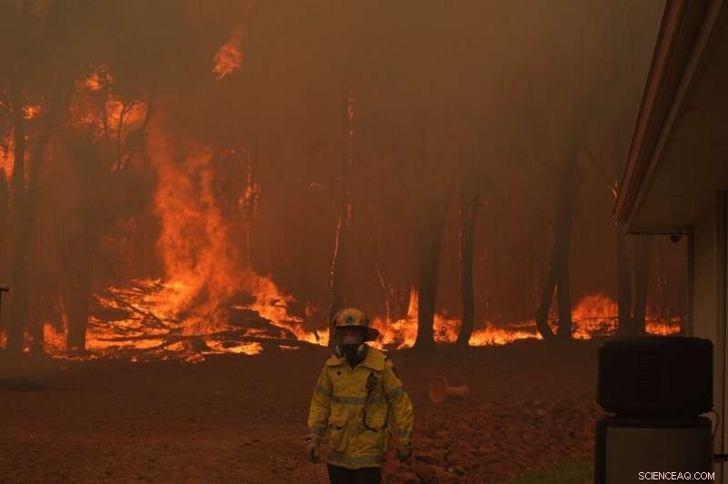 Perth Firefighters Contain Massive Bushfire, Saving Homes