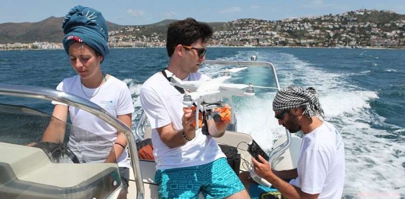 MARLIT: AI-Powered App for Monitoring and Managing Floating Marine Macro‑Litter