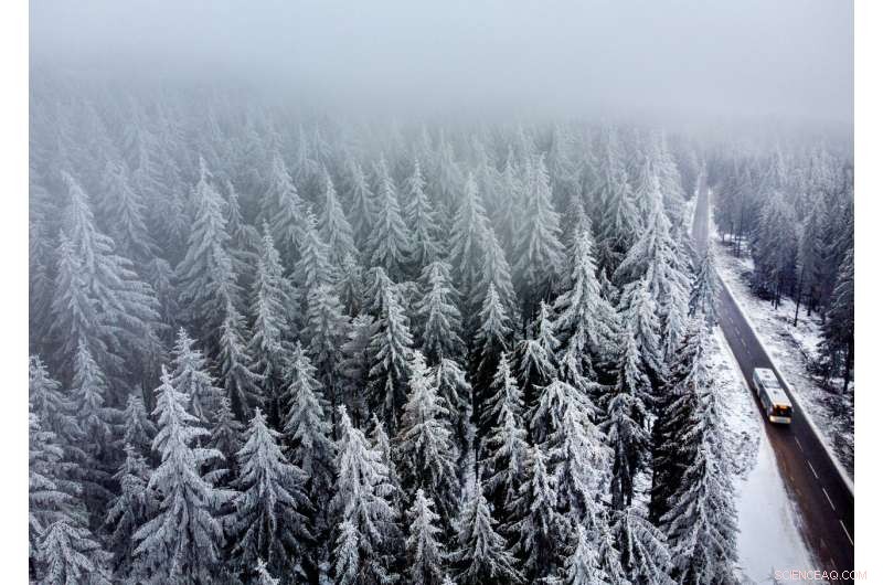 Heavy Snow and Ice Cause Major Transport Disruptions Across Central and Northern Europe