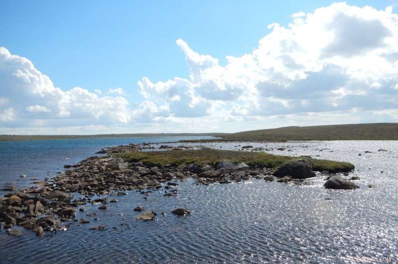 Arctic Lakes and Climate Change: How High‑Latitude Waters Influence Global Carbon Dynamics