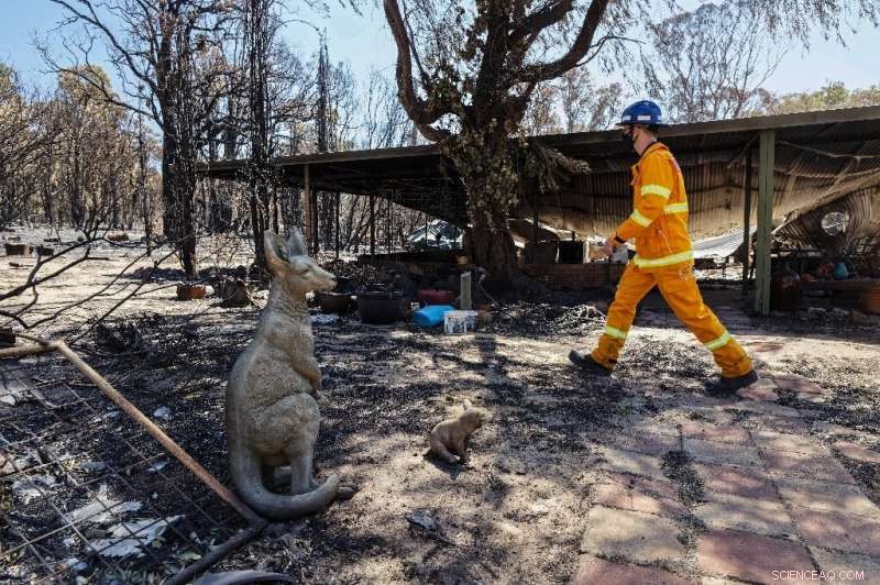 Firefighters Contain Perth Bushfire as Rain Forecast Brings Relief