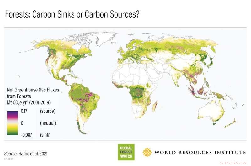 NASA Satellites Refine Forest Carbon Estimates for Global Climate Modeling