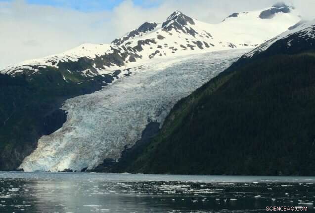 Predicting the Unpredictable: Climate Change Forecasting Strategies