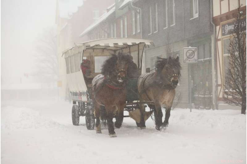 Germany Hit by Heavy Snowstorm, Travel Disruptions Intensify