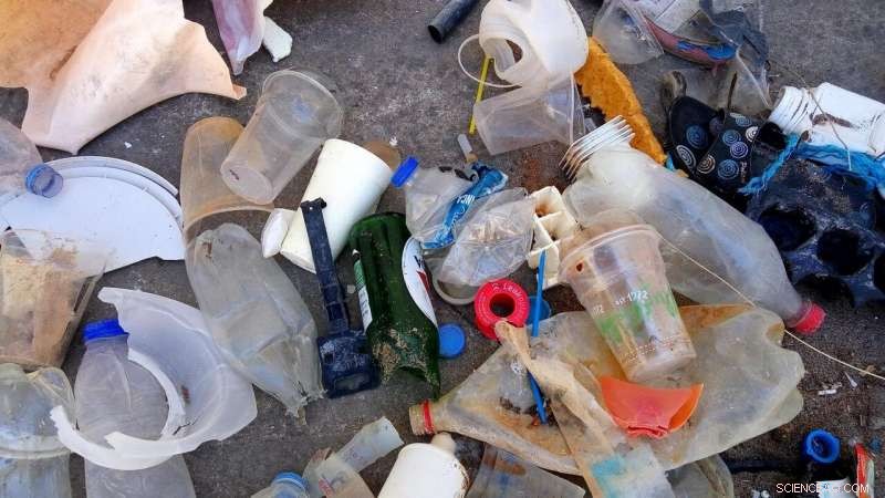 Tourism Is the Leading Cause of Marine Litter on Mediterranean Shores