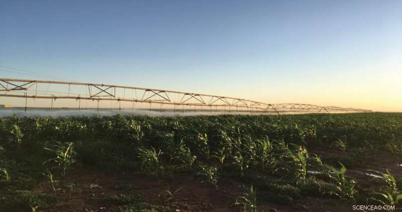 Monitoring Groundwater Resources for Sustainable Agriculture in Arid Regions