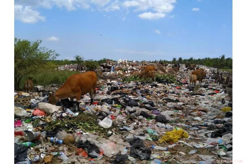 Simple Nudges Encourage Eco-Friendly Tourism, New Study Finds