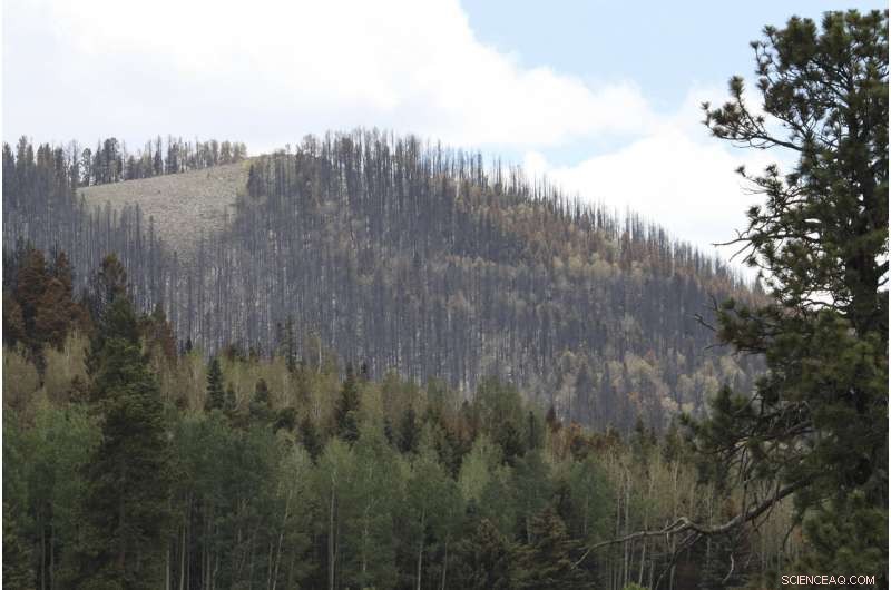 Audit Highlights Wildfire Vulnerabilities at U.S. Nuclear Lab