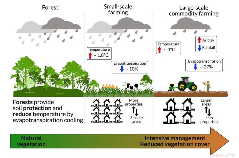 The Amazon’s Climate Crisis: How Large-Scale Commodity Farming Fuels Rapid Change