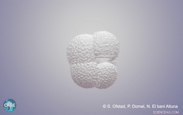 Rapid Ice Retreat in the Last Deglaciation Mirrors Today’s Accelerated Melting