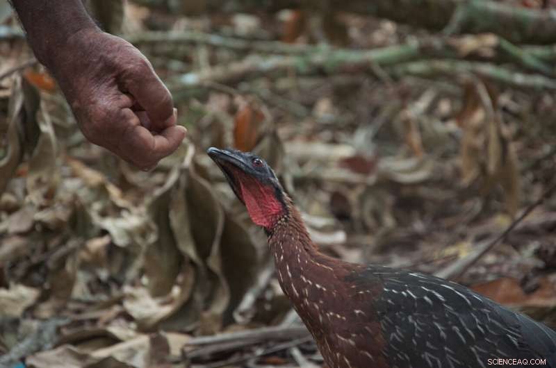 Study Shows Farmers Love Nature Without Extensive Knowledge