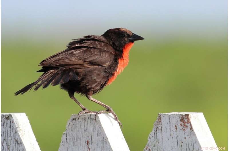 Study Shows Farmers Love Nature Without Extensive Knowledge