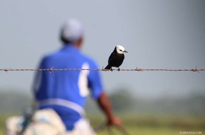 Study Shows Farmers Love Nature Without Extensive Knowledge