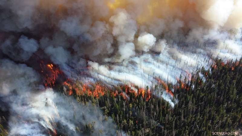Assessing Key Environmental Drivers of Wildfires in the Western United States