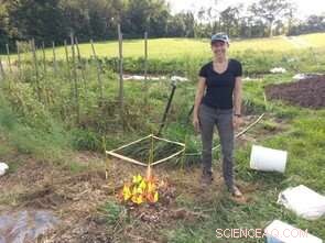 Restoring Soil Microbiomes in High‑Tunnel Agriculture: Insights from New Study